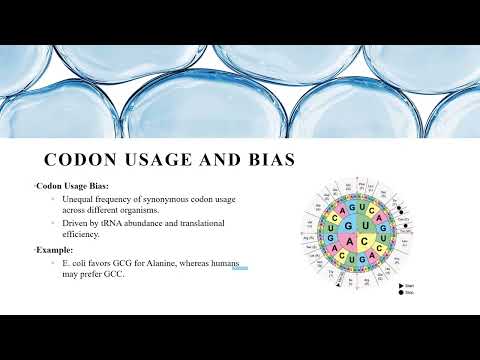 Codon Optimization Explained | Boost Gene Expression &amp; Protein Yield